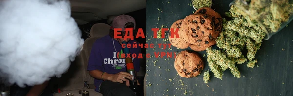 индика Балахна