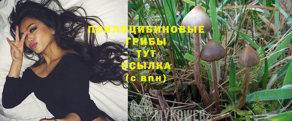 индика Балахна