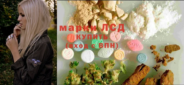 индика Балахна
