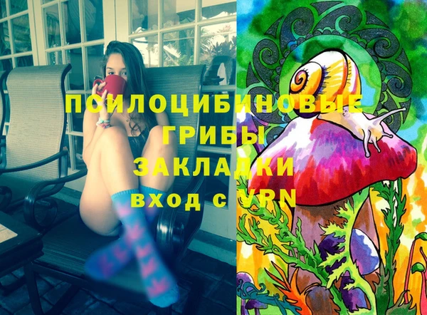 индика Балахна