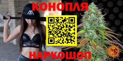 PSILOCYBIN Малоярославец