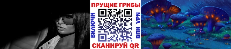 Псилоцибиновые грибы Cubensis  закладка  mega зеркало  Горно-Алтайск 