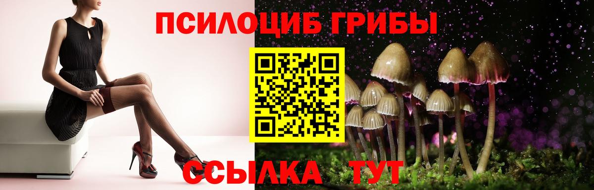 Псилоцибиновые грибы MAGIC MUSHROOMS  Галлюциногенные грибы MAGIC MUSHROOMS  Вход с VPN  Горно-Алтайск 